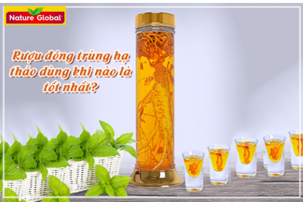 Đông trùng hạ thảo sử dụng như thế nào là đúng cách?