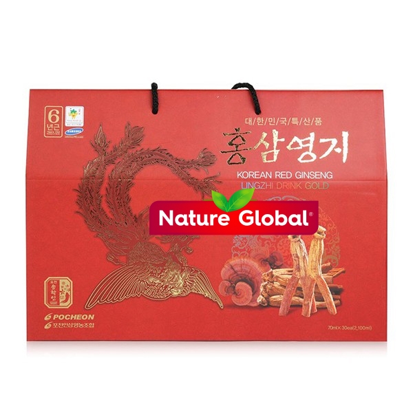 Nước Hồng Sâm Linh Chi Hàn Quốc Pocheon 30 Gói x 70ml