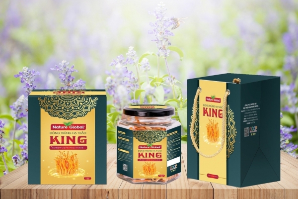Combo 3 hộp Đông trùng hạ thảo KING (Hộp 15g*3)