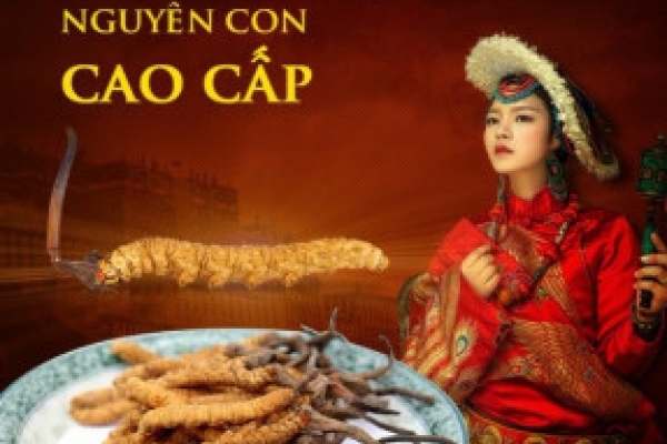 Đông Trùng Hạ Thảo Tây Tạng Thiên Nhiên Loại Khô 30 con/10g