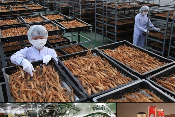Hồng Sâm Củ Khô Hộp Thiếc Pocheon Hộp 300gr