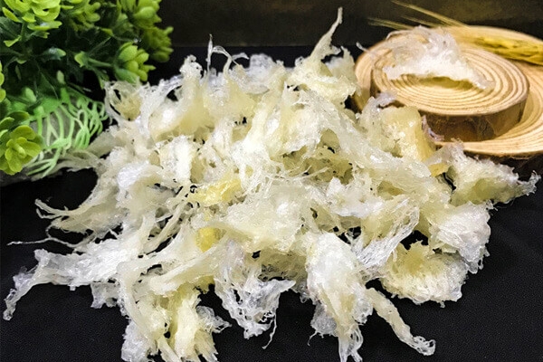 Yến Sào Nha Trang Chân Yến