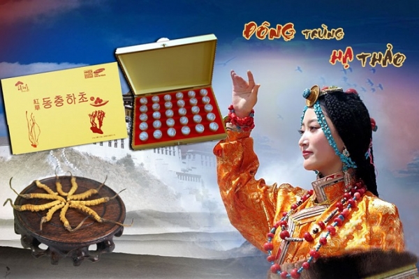 Viên Đông Trùng Hạ Thảo Hàn Quốc Loại Hộp Gỗ 30 Viên