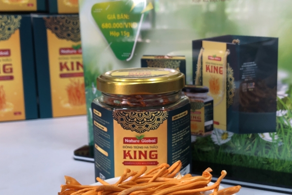 ĐÔNG TRÙNG HẠ THẢO KING SẤY THĂNG HOA ( Hộp 5 Gram)